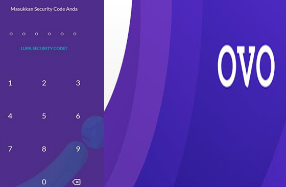 Mengapa aplikasi ovo tidak bisa login ? salah satunya karena nomor tidak sesuai.