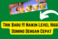 Trik Baru !!! Cara Cepat Naikin Level Higgs Domino ke level 5 atau 6