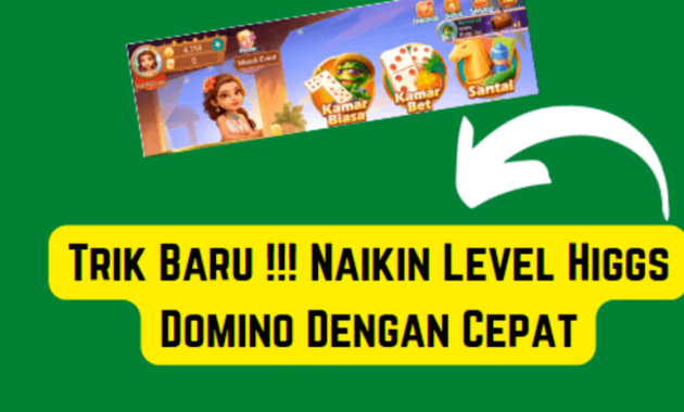 cara cepat naikin level higgs domino