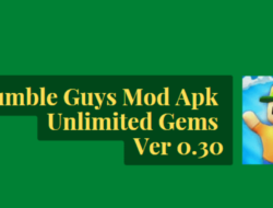 Download Stumble Guys Mod Apk Unlimited Gems versi 0.30