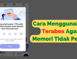 Cara Menggunakan Terabox Agar Penyimpanan Tidak Penuh